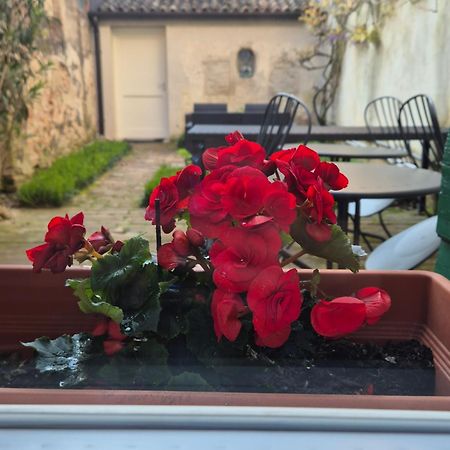 Bed and Breakfast 19 Borgo Cavour Treviso Exterior foto
