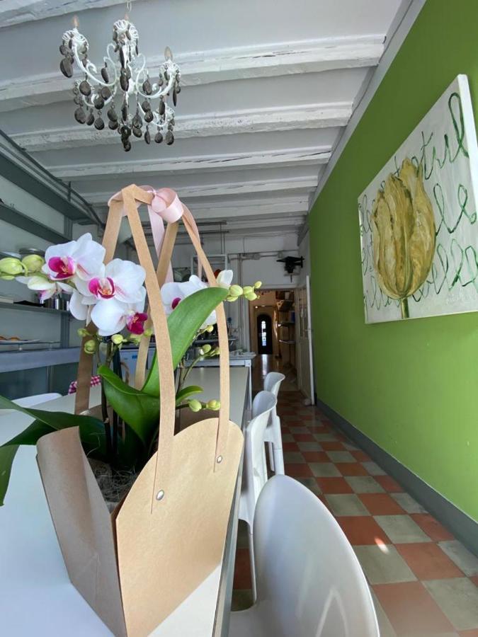 Bed and Breakfast 19 Borgo Cavour Treviso Exterior foto