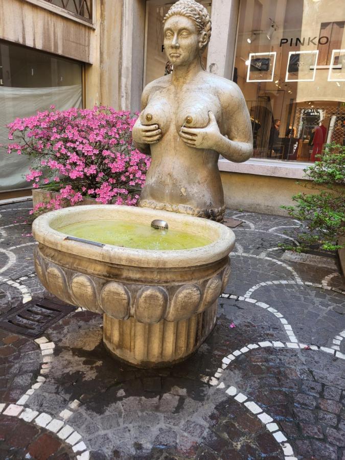 Bed and Breakfast 19 Borgo Cavour Treviso Exterior foto