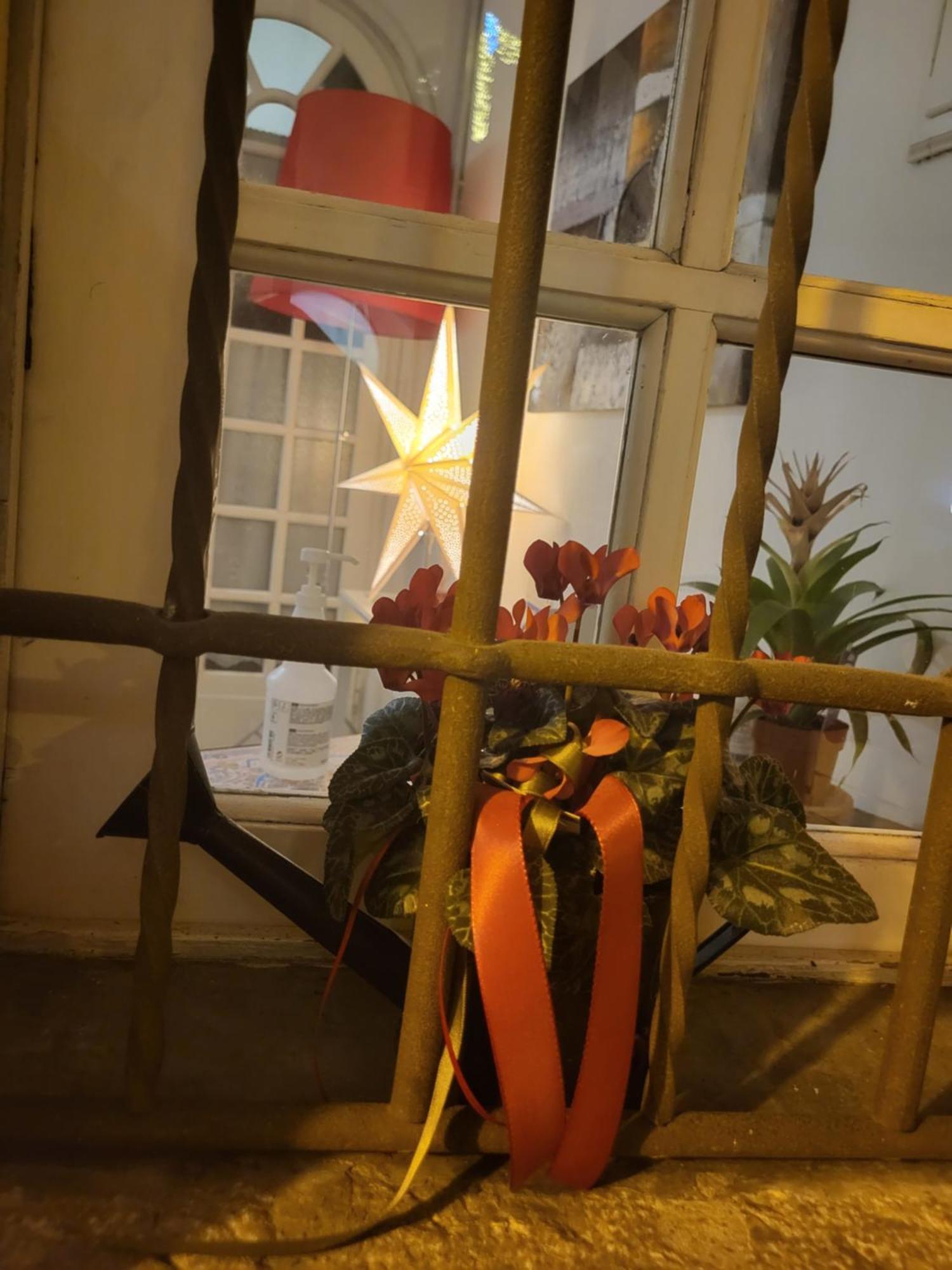 Bed and Breakfast 19 Borgo Cavour Treviso Exterior foto