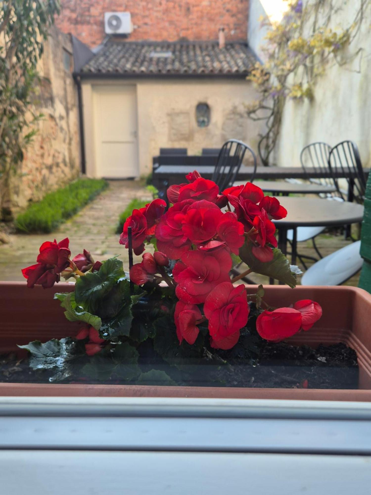 Bed and Breakfast 19 Borgo Cavour Treviso Exterior foto
