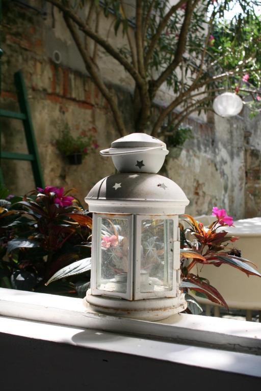 Bed and Breakfast 19 Borgo Cavour Treviso Exterior foto